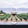 Enoturismo en Tarragona
