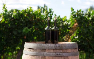 Wine tourism in Tarragona