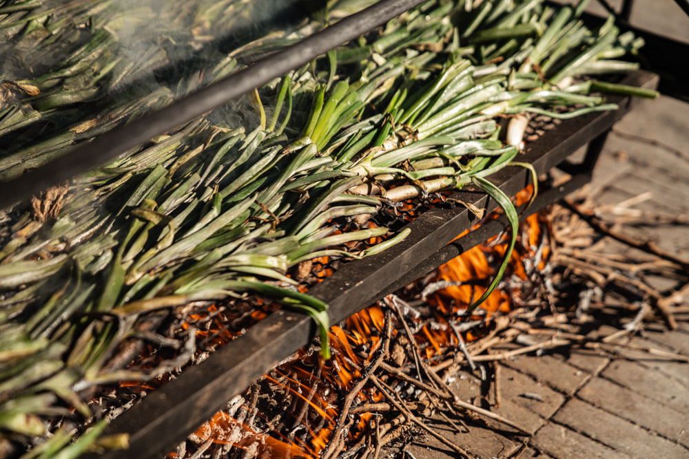 Calçotada en Tarragona