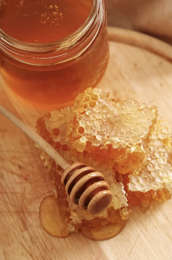 El Museo de la Miel de Alcover: una apasionante experiencia apícola