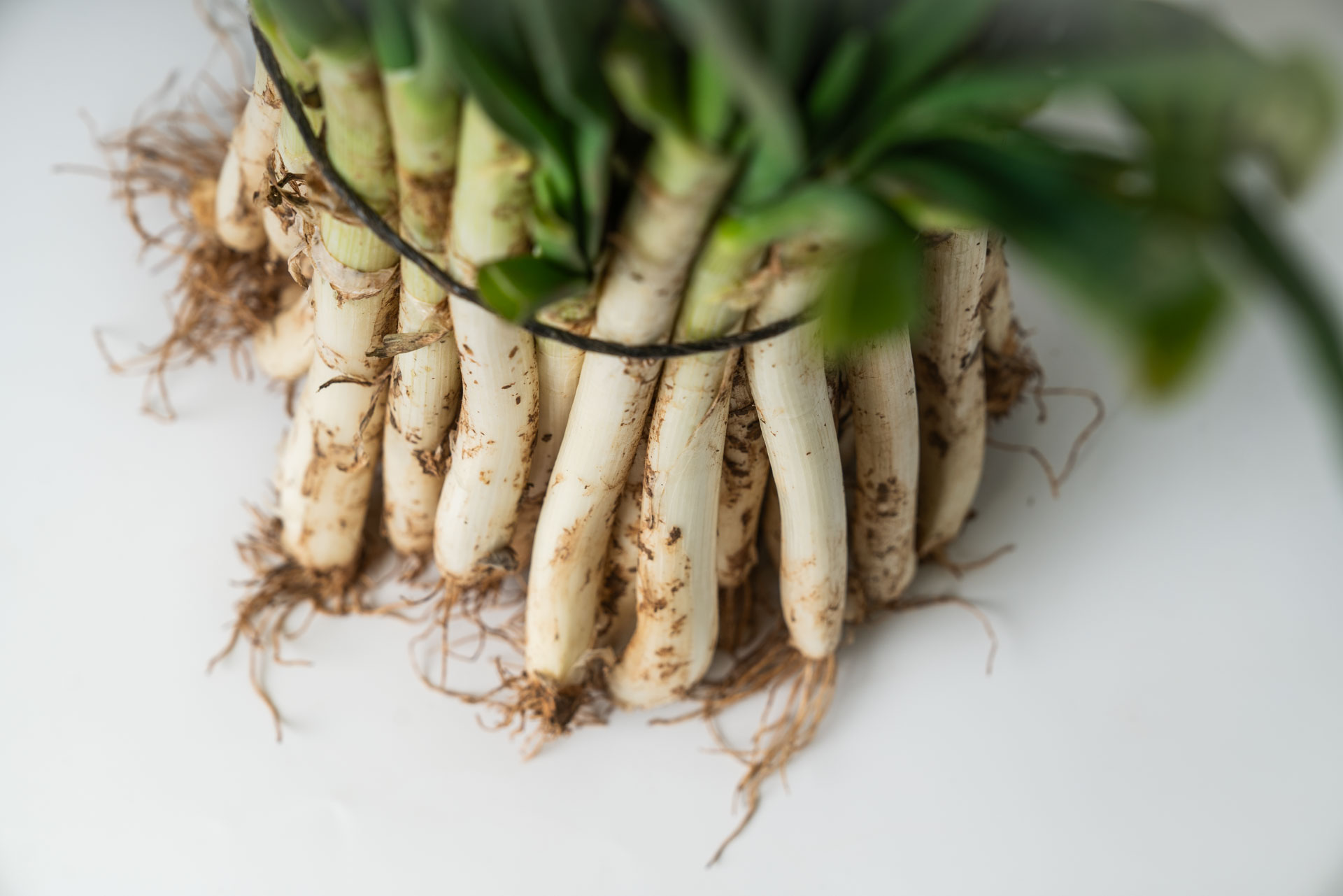 comprar calçots online